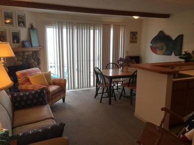 8567 Portage Point Dr unit T9, Onekama, MI 49675 - photo 5