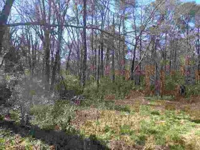 00 Crenshaw St unit & Greenville Street, Pendleton, SC 29670 - photo 7