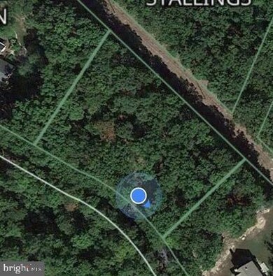 1409 Tabor Rd, Berkeley Springs, WV 25411 - photo 2