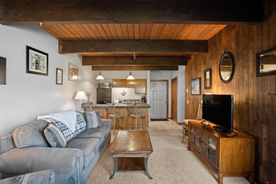 60 Hunter Hill Rd unit A-304, Crested Butte, CO 81225 - photo 5