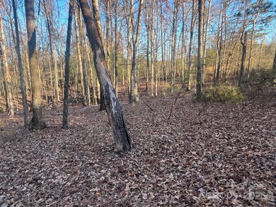 000000 Pinnacle Church Rd, Nebo, NC 28761 - photo 6