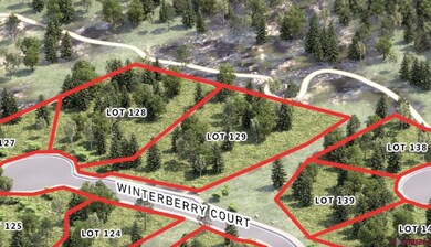 98 (Lot 129) Winterberry Ct, Durango, CO 81301 - photo 4