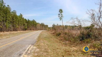 0 Prosser Rd unit 25510401, Deepstep, GA 31082 - photo 3