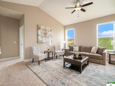 9710 N 167th Avenue Cir, Bennington, NE 68007 - photo 3