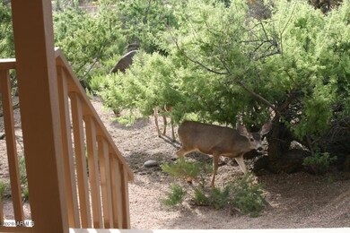 Front porch deer