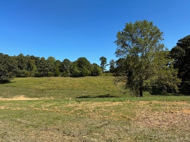 0 Hunziker Ln unit RTC2785102, Fairview, TN 37062 - photo 4