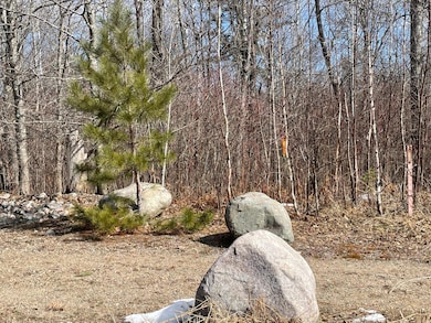 6630 Voyageurs Trail, Biwabik, MN 55708 - photo 7