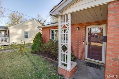 205 Williams St, Bethalto, IL 62010 - photo 4