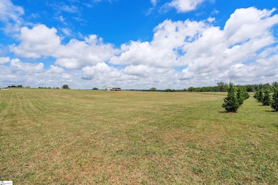 3277 Neely Ferry Rd, Laurens, SC 29360 - photo 3