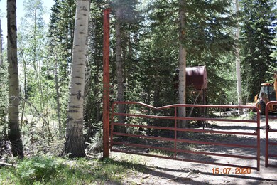 DSC_1080[1]