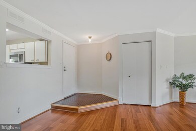 7002 Channel Village Ct unit 101, Annapolis, MD 21403 - photo 2