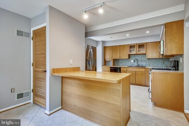 11822 Blue Spruce Rd, Reston, VA 20191 - photo 6