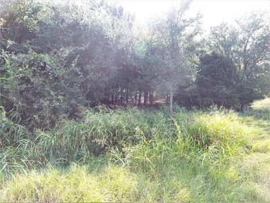 TBD Echo Valley Rd, Weatherford, TX 76087 - photo 4