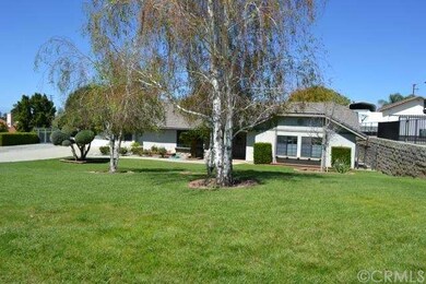 Front yard landscaping