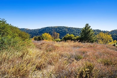 Doane Valley Rd, Palomar Mountain, CA 92060 - photo 7