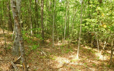 Additional View