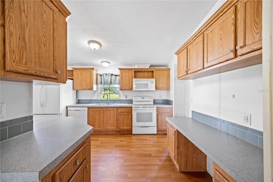 20761 NE 118th St, Lake Butler, FL 32054 - photo 7