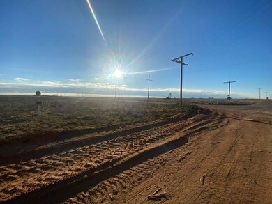 0, Loop, TX 79342 - photo 7