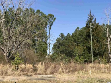 3994 Highway 378, Conway, SC 29527 - photo 5