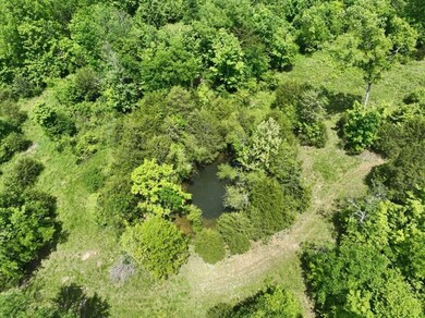 0 Moore Hollow Rd, Prospect, TN 38477 - photo 7