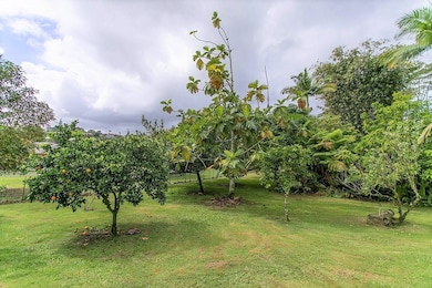 444 Kukuau St, Hilo, HI 96720 - photo 4