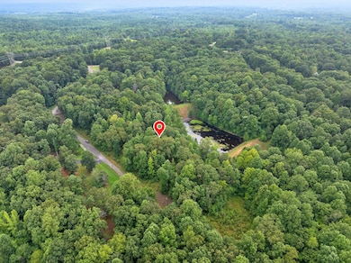 213 Jason Hollow Rd, Cedar Grove, TN 38321 - photo 3