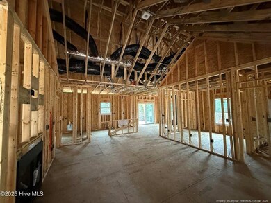 1017 Ivory Ln, West End, NC 27376 - photo 2