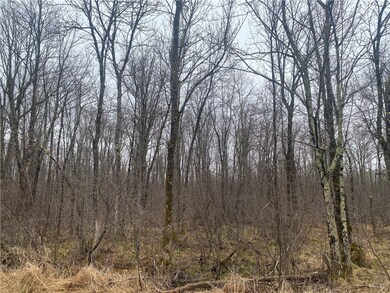 ON Cth I, Ogema, WI 54459 - photo 5