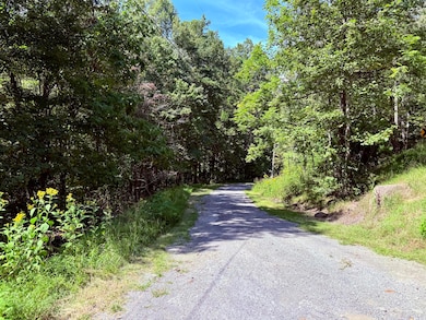 6955 Mount Chestnut Rd, Roanoke, VA 24018 - photo 3