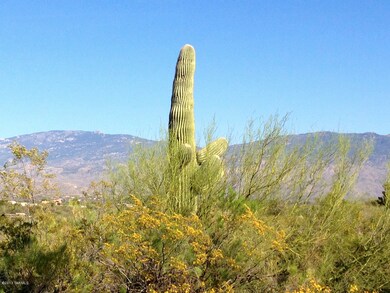 Beautiful Tucson Mountains & Sahauro