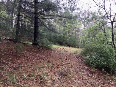 12949 Cass Rd, Cass, WV 24927 - photo 4