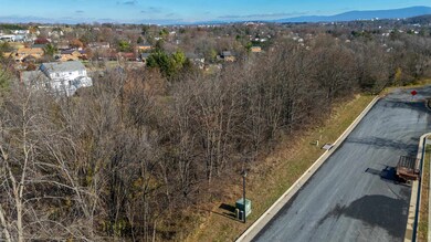 2102 Willow Hill Dr, Harrisonburg, VA 22801 - photo 6