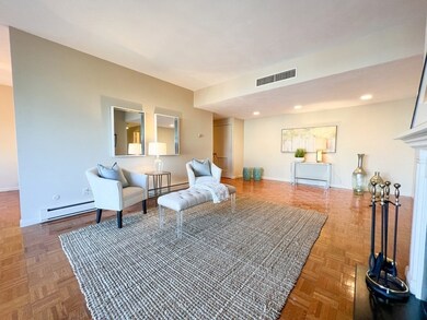 Wellesley Green Condominiums unit 422, Wellesley, MA 02482 - photo 3