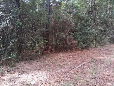 00000 Spice Pond Rd, Mobile, AL 36613 - photo 7