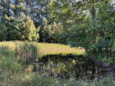 5383 N Conway Rd, Alanson, MI 49706 - photo 2