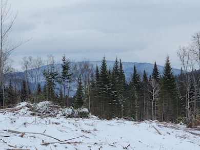 200A Berlin Rd, Errol, NH 03579 - photo 3