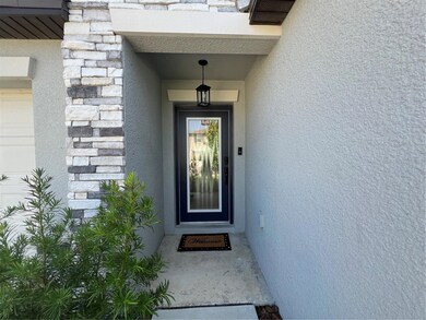 31831 Sun Kettle Loop, Wesley Chapel, FL 33545 - photo 4