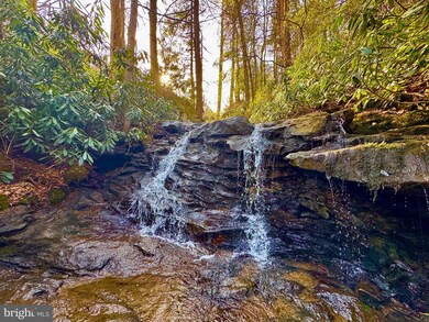 268 Wild Flower Way, Albright, WV 26519 - photo 4