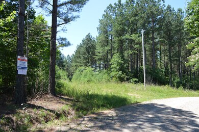 0 Mathis Cemetery Rd unit 2170336, Stewart, TN 37175 - photo 2