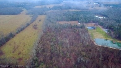 TBD Buckeye Ln, Other Ar, AR 72131 - photo 6
