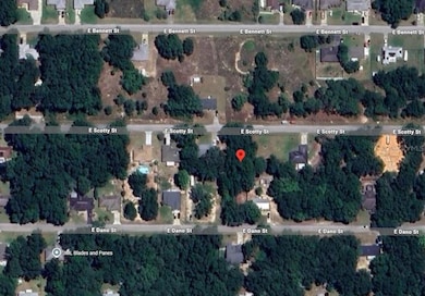 3970 E Scotty St, Inverness, FL 34453 - photo 4