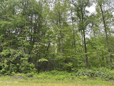 8472 Highway 25 W N, Duff, TN 37729 - photo 5