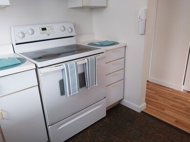 23 Arbutus St, Dorchester Center, MA 02124 - photo 6