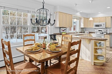 875 Bonita Dr, Aspen, CO 81611 - photo 4