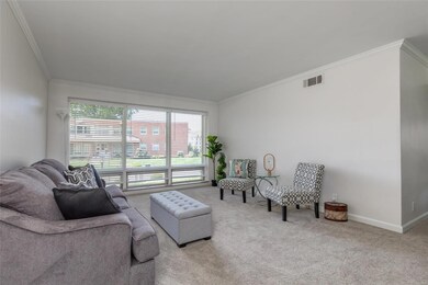 Light and bright living room.