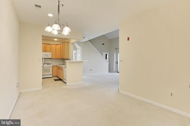 11314 Westbrook Mill Ln unit 302, Fairfax, VA 22030 - photo 3