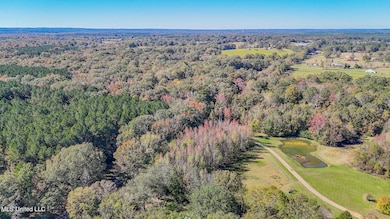 449 Old Highway 80, Morton, MS 39117 - photo 6