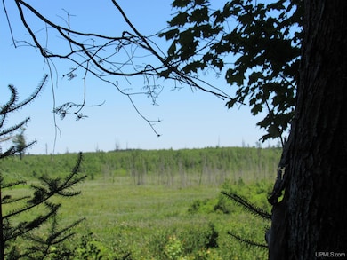 TBD County Fl Rd, Champion, MI 49814 - photo 4