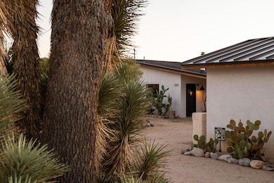 8388 Old Vine Rd, Joshua Tree, CA 92252 - photo 3