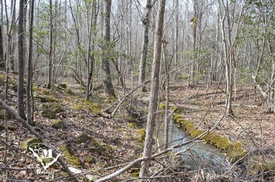 0 Cowpens Pacolet Rd unit 23075109, Spartanburg, SC 29307 - photo 5